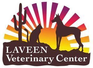 Laveen Veterinary Center