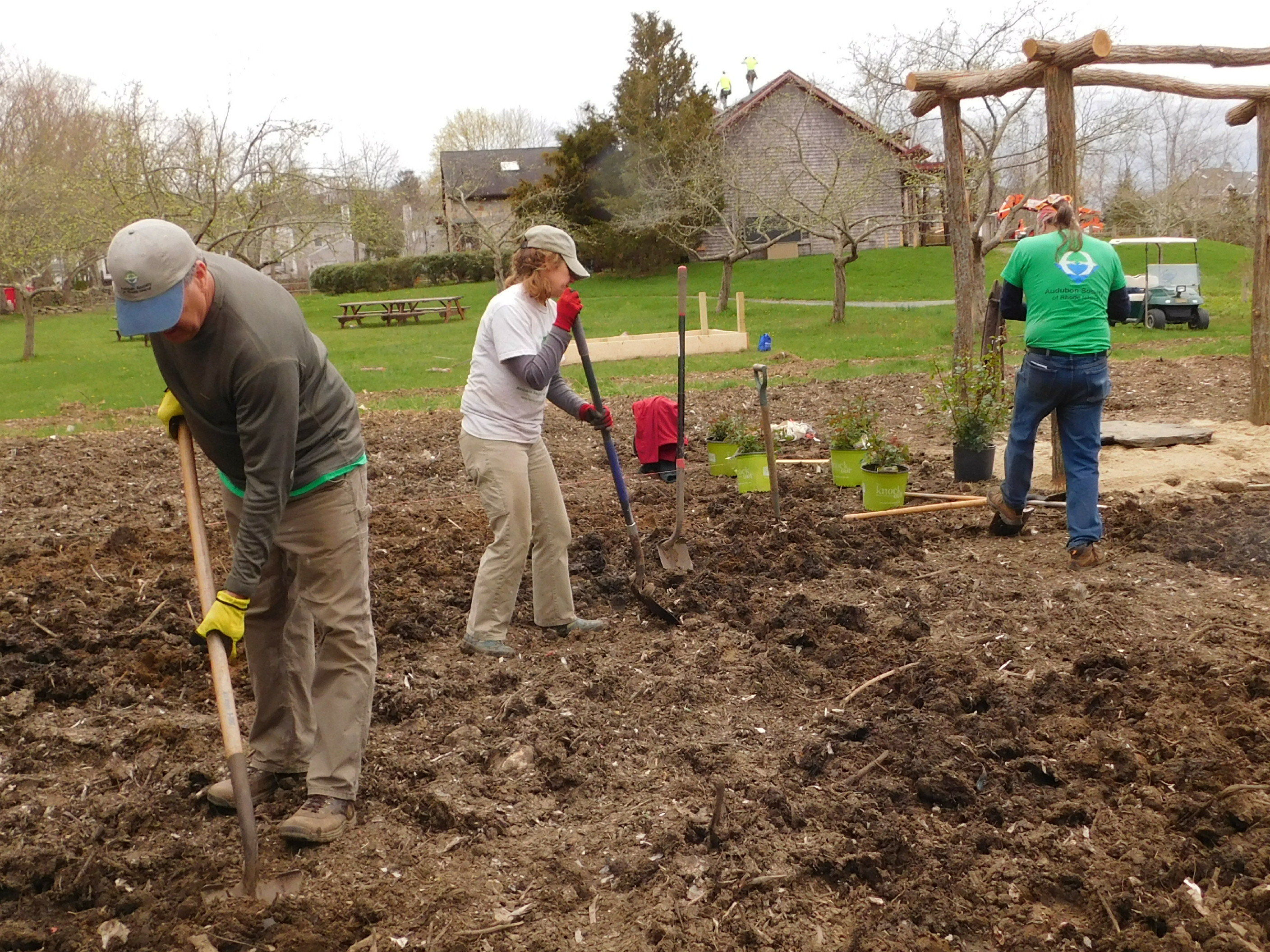 Pollinator Garden prep