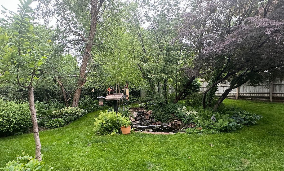A photo of Phil Swanson's yard in spring showing flowering trees, shrubs and flower beds