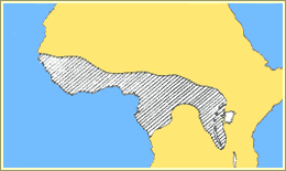 Historic range of chimpanzees in Africa