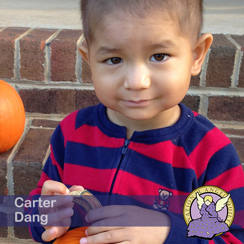 Carter Dang