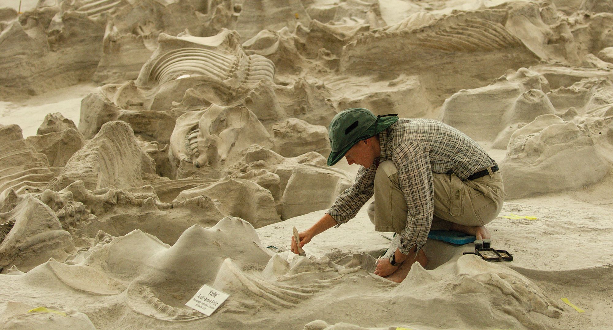 About | Ashfall Fossil Beds