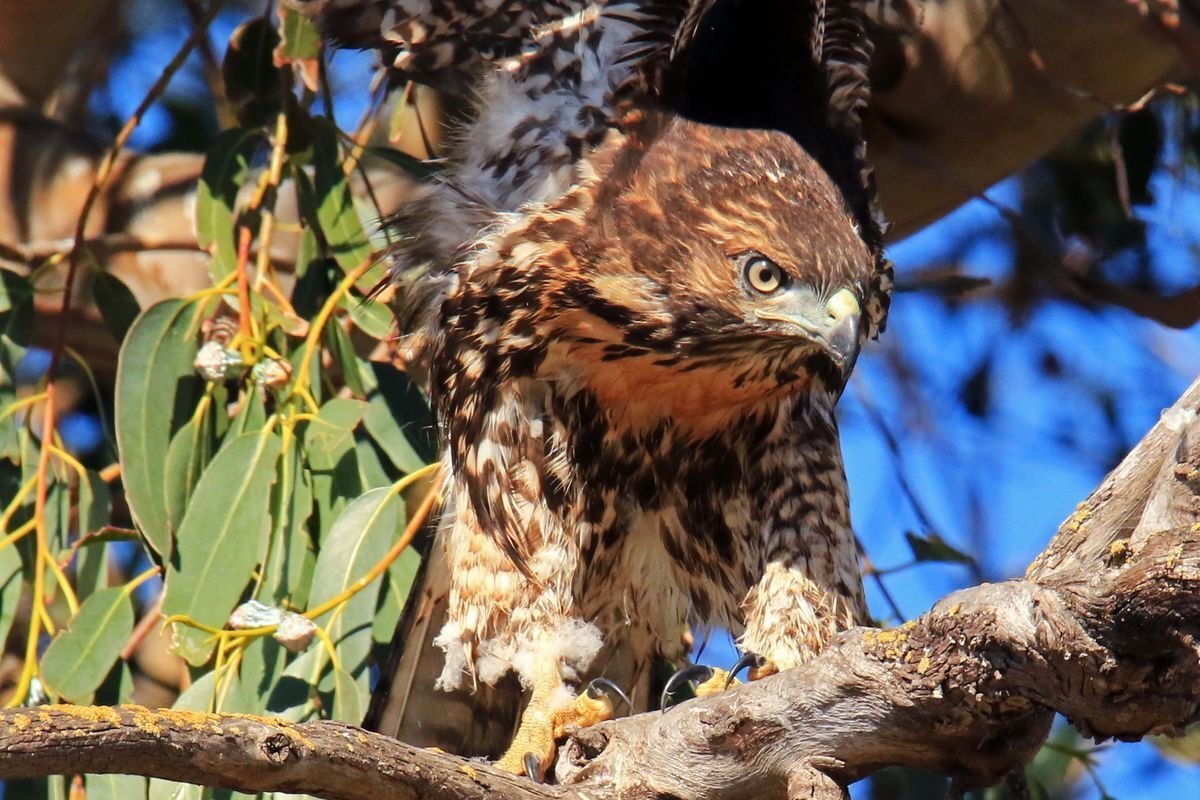 Rush Ranch : Rush Ranch : Protected Lands : Solano Land Trust