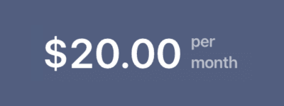 20