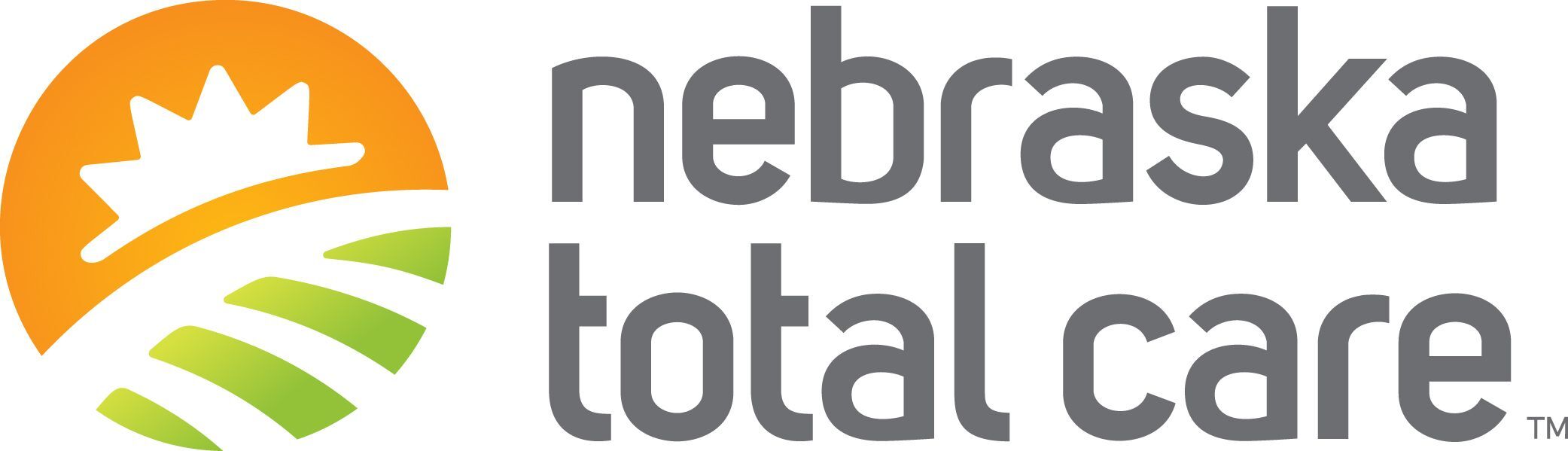 Silver Sponsors