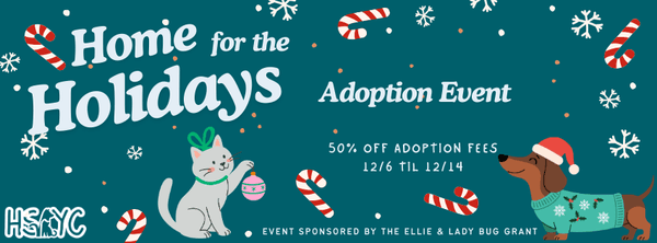 Home for the Holidays Adoption Event : Events : WHAT WE DO : Humane ...