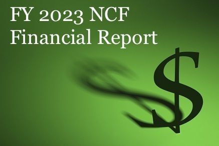 FY 2023 Financial Report
