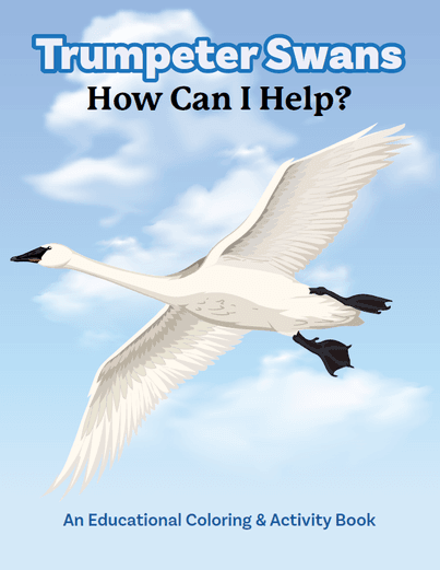 Your donation to The Trumpeter Swan Society will build a safe winter home for swans