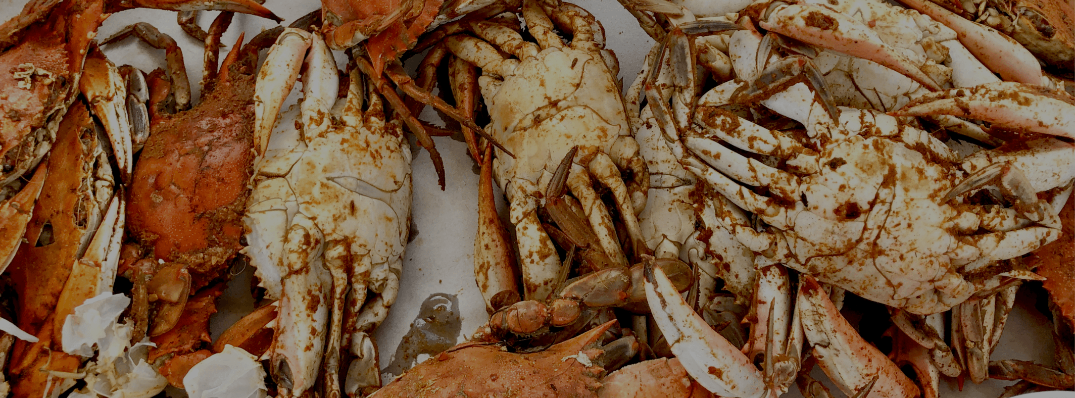 Crab Feastival Fundraiser