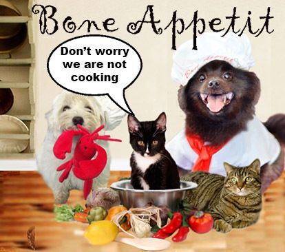 10th Annual Bone Appétit!