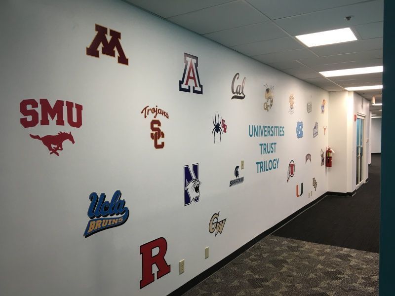 Cut out Wall Graphics