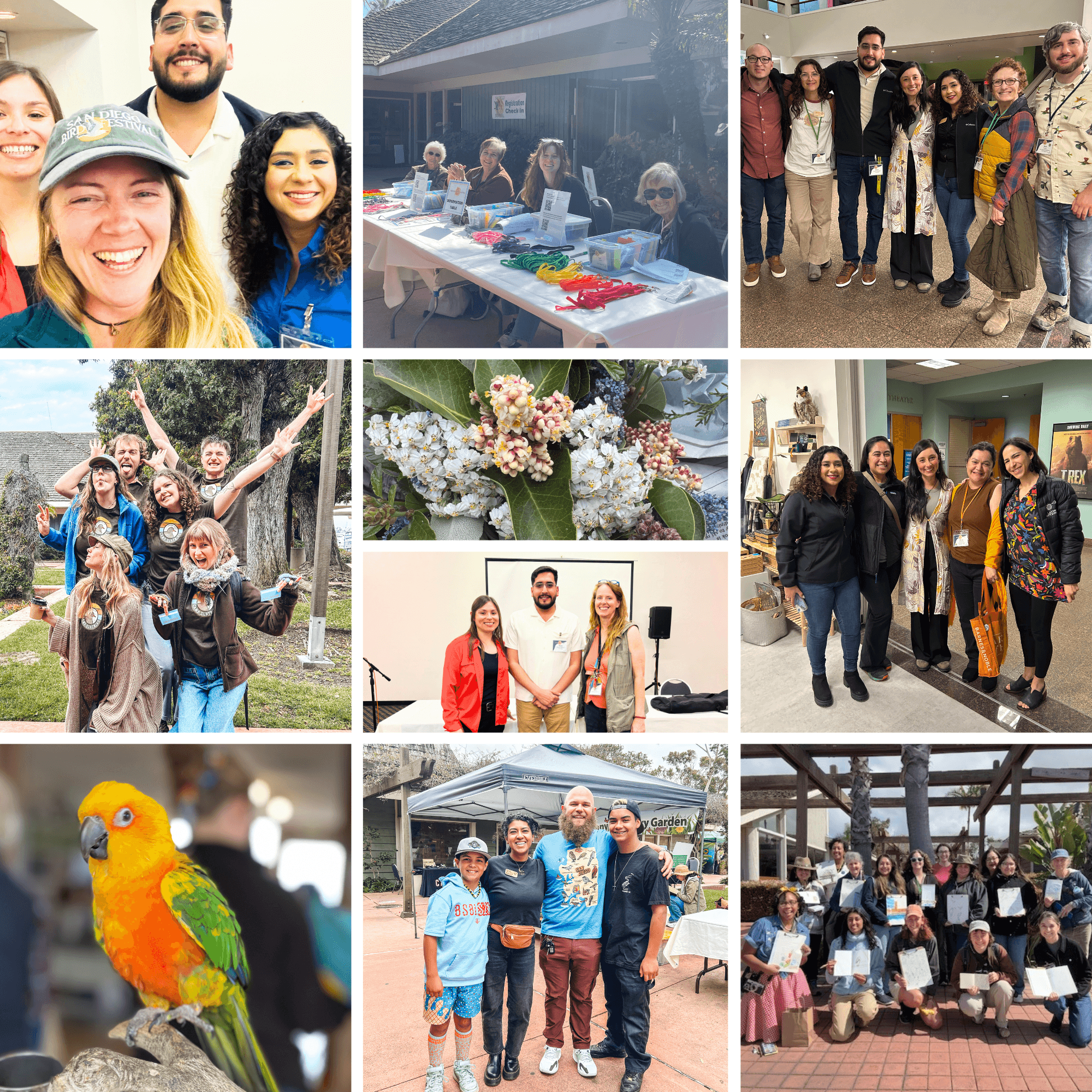 Soaring to New Heights: Recapping the 2025 San Diego Bird Festival