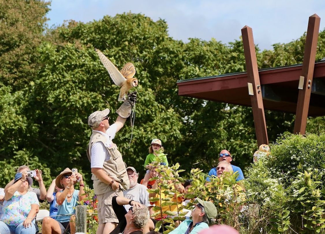 Gregory Wojtera of Masters of the Skies Shows a Barn Owl to the Raptor Weekend crowd
