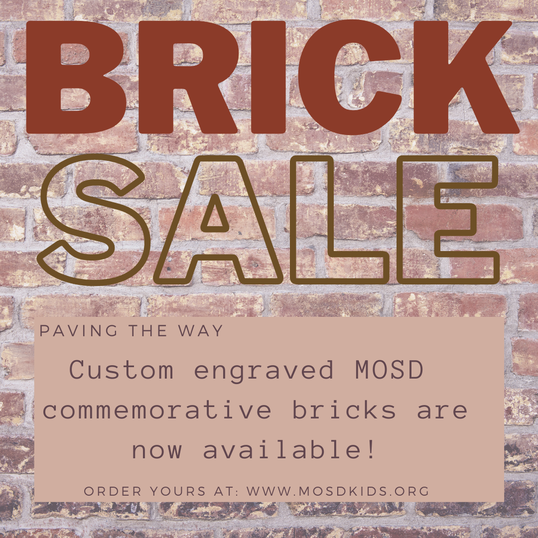 Paving the Way Commemorative Bricks