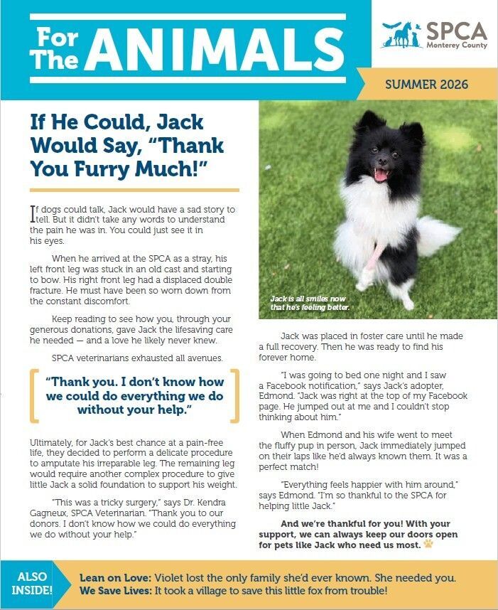Summer 2026 SPCA Newsletter
