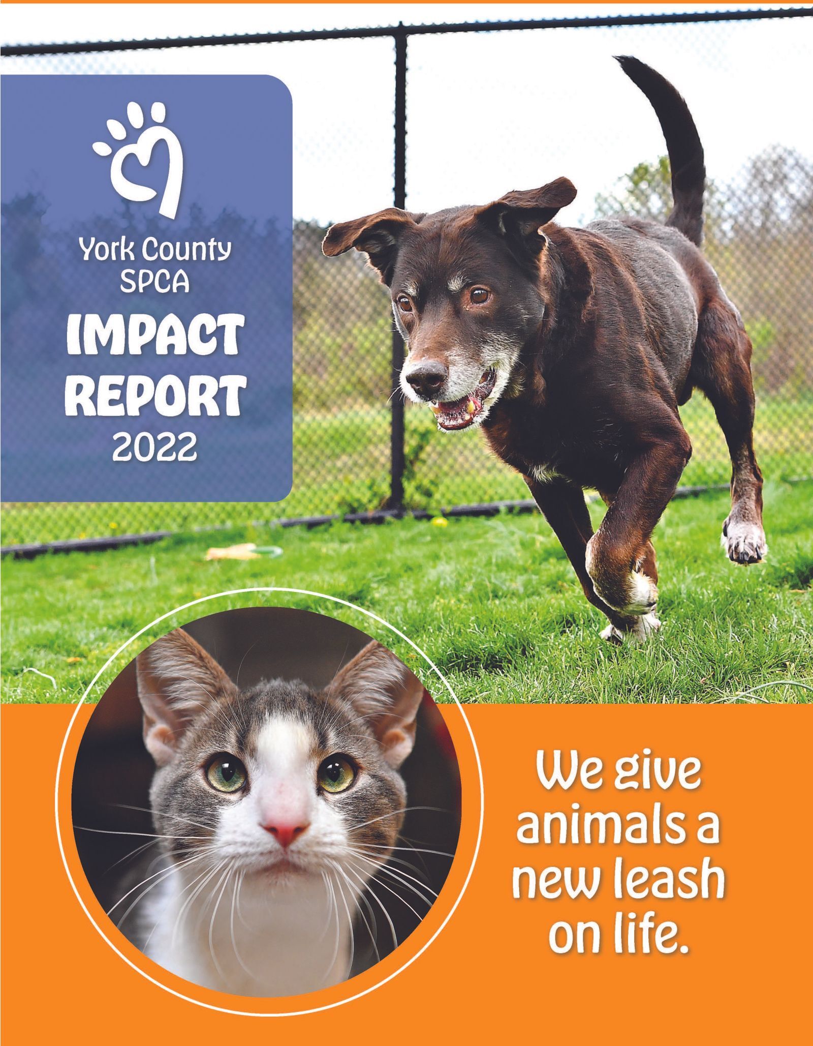 Reports and Shelter Stats York County SPCA