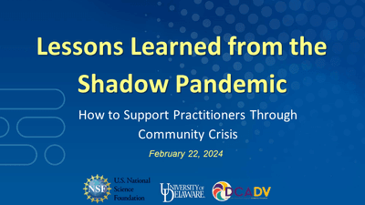 Lessons Learned from the Shadow Pandemic: How to Support Practitioners through Community Crisis