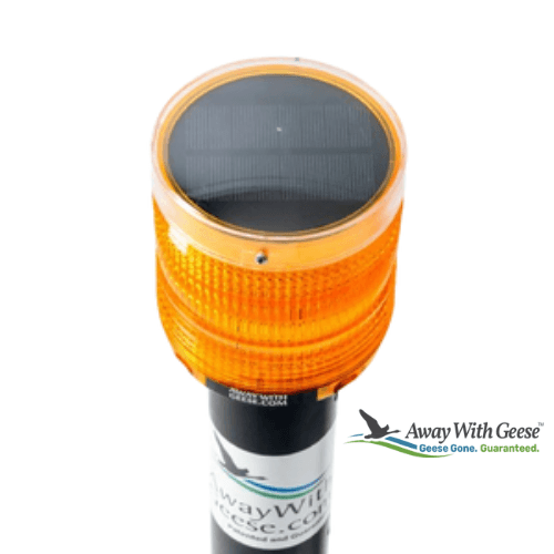 Away-With-Geese Light