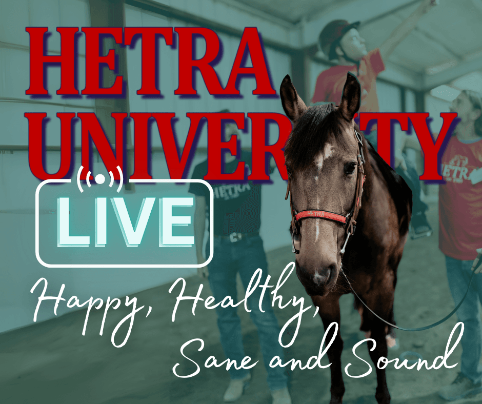 HETRA University Live!