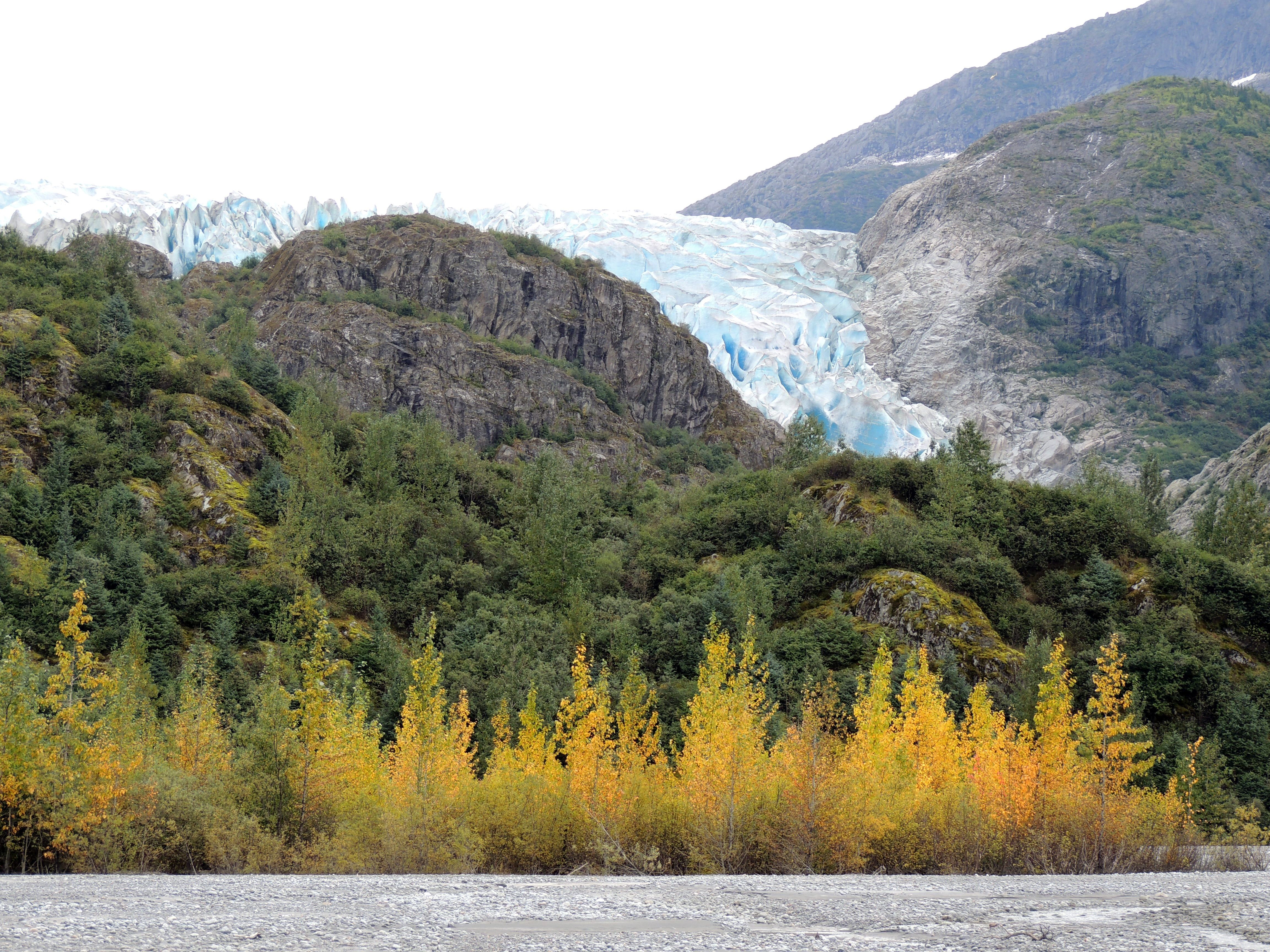 Protect The Tongass National Forest