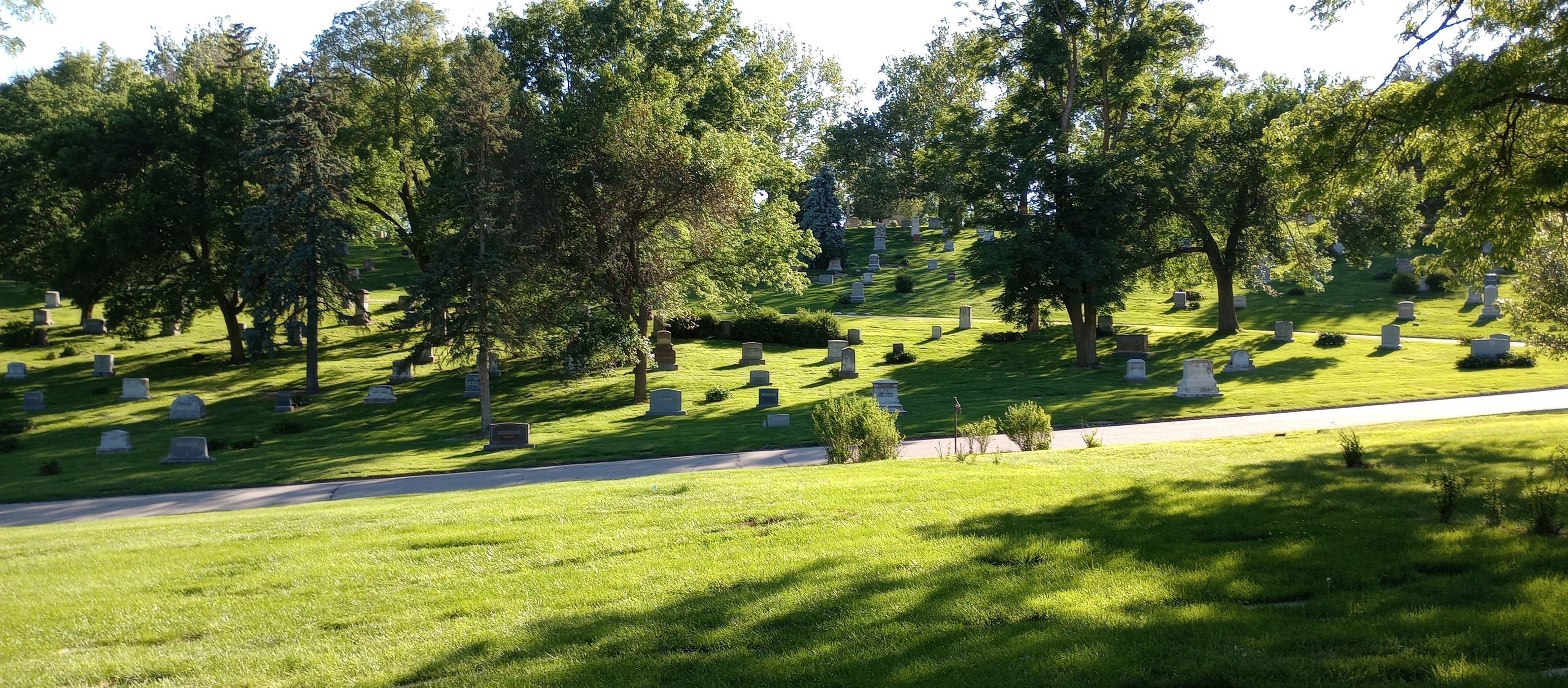 Field Trip: Birding at Forest Lawn