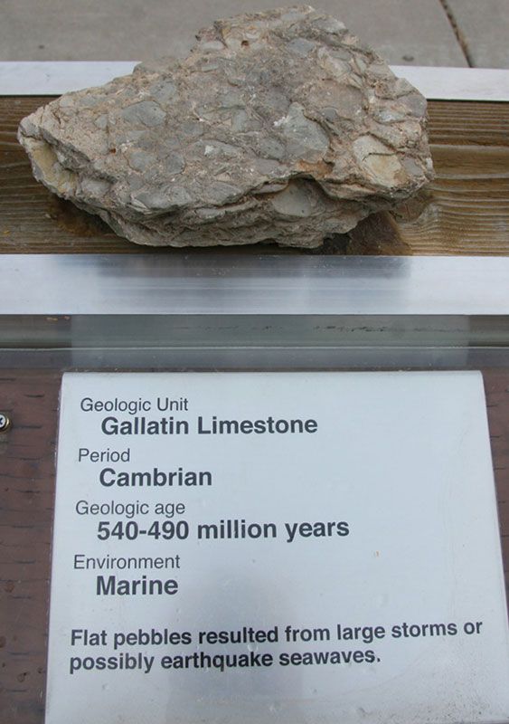 Gallatin Limestone - Cambrian