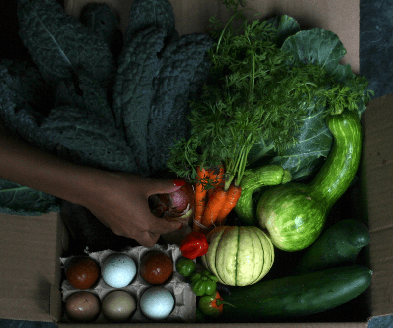 Support Sustainable Local Growers In Newark