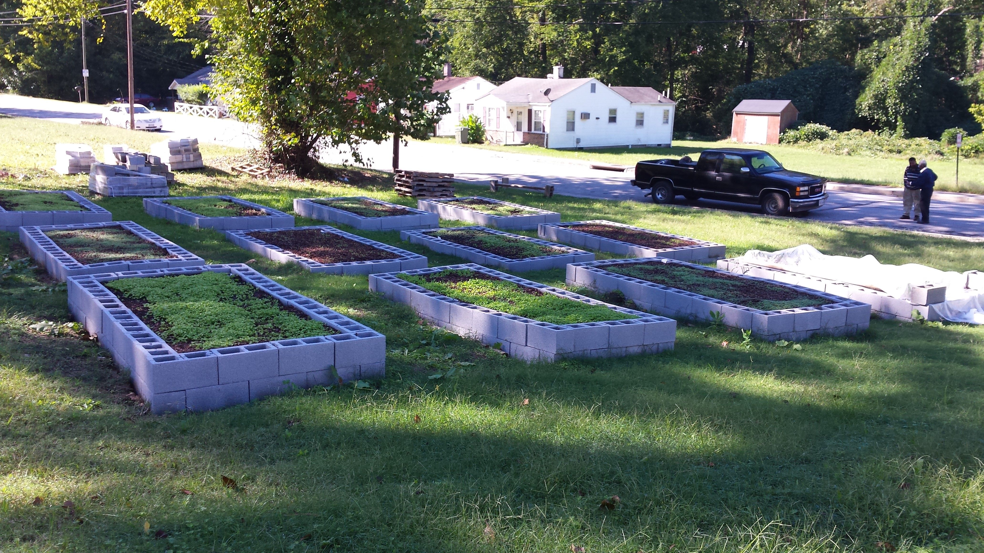 community garden