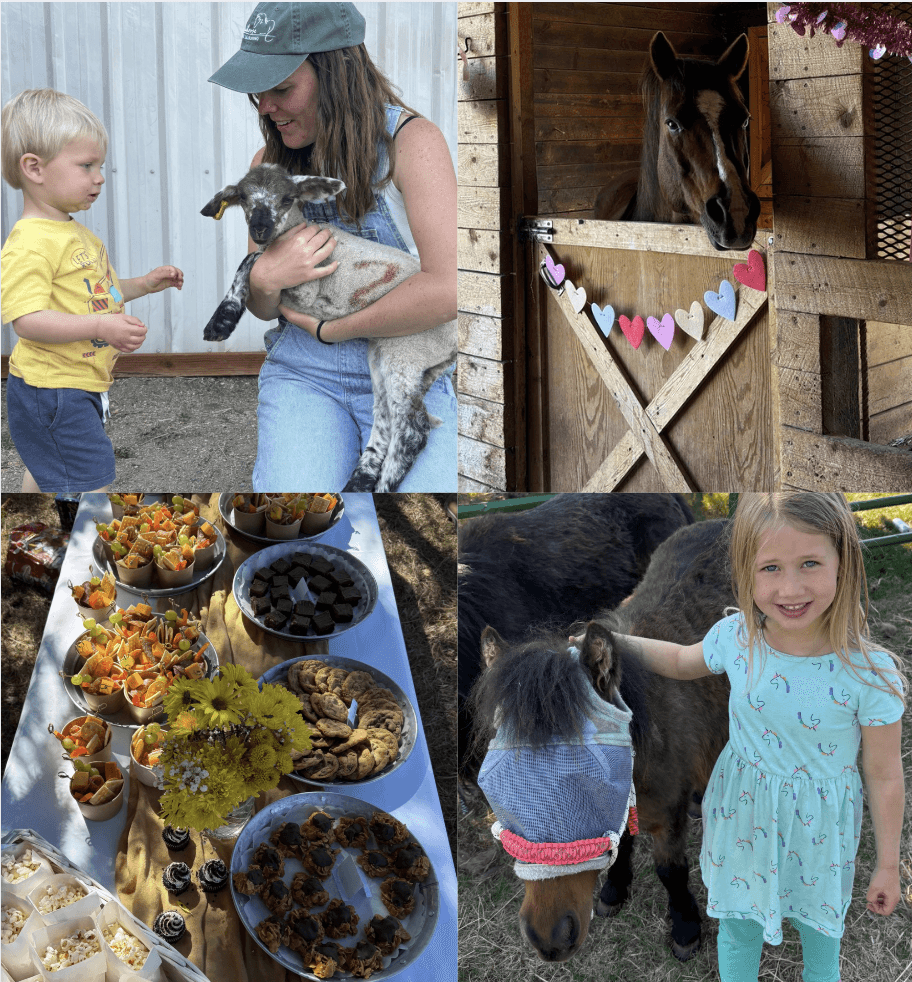 Give Big & Open Barn Recap