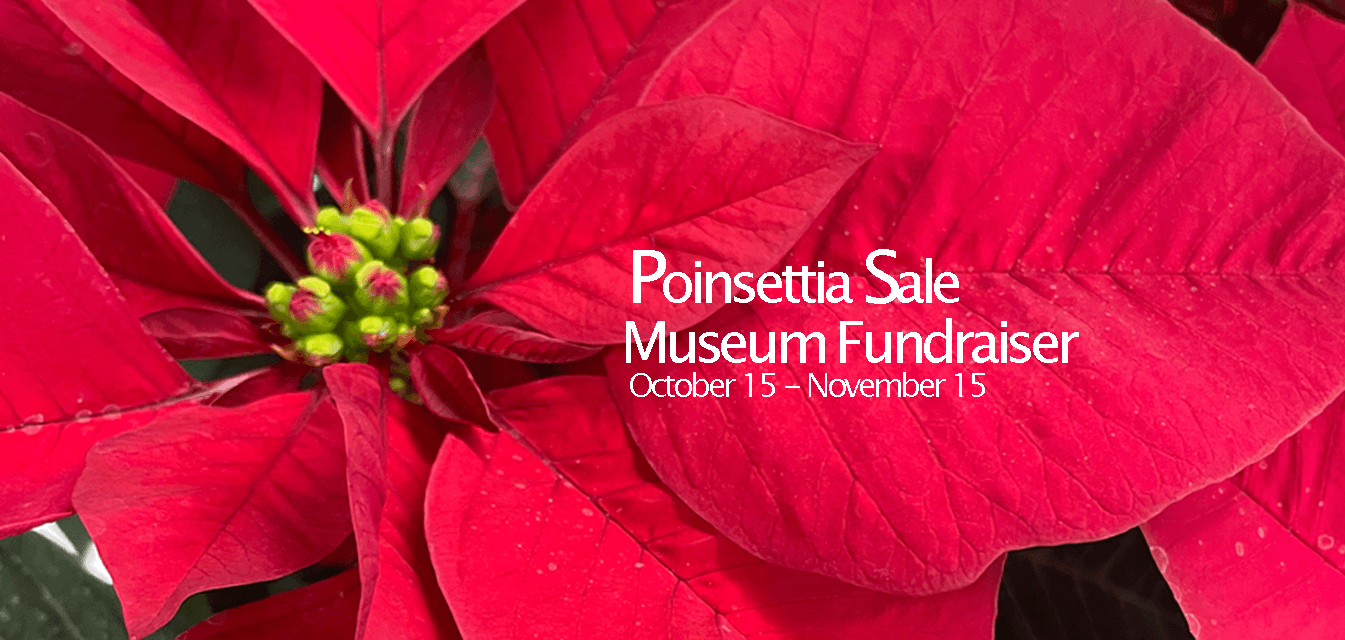 Close up of a red poinsettia with the sale dates of October 15- November 15 for the Smoky Hill Museum Friends fundraisier