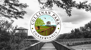 Bird Week 2025 Cullinan Park