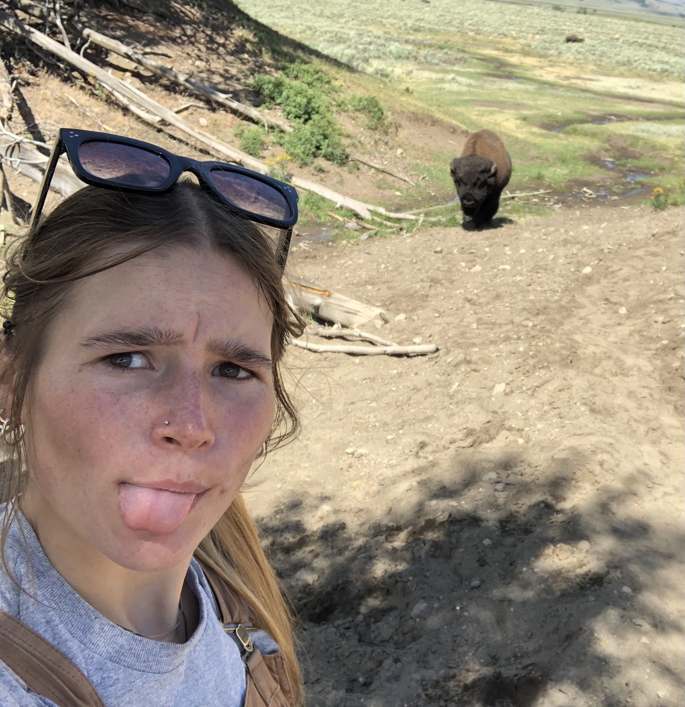 A crew member takes a selfie with a bison in the distance