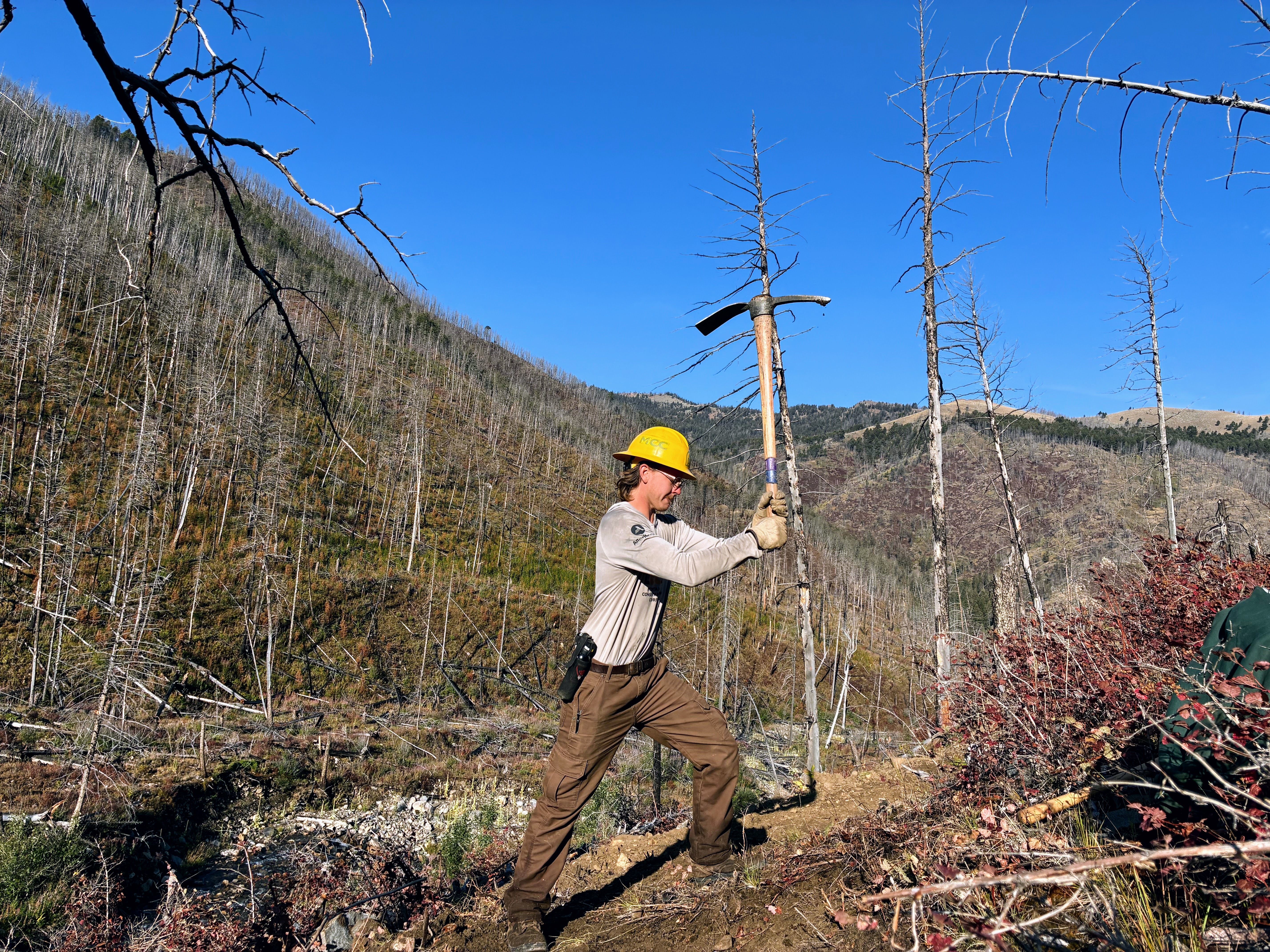 A crew member swings a pick at a trail