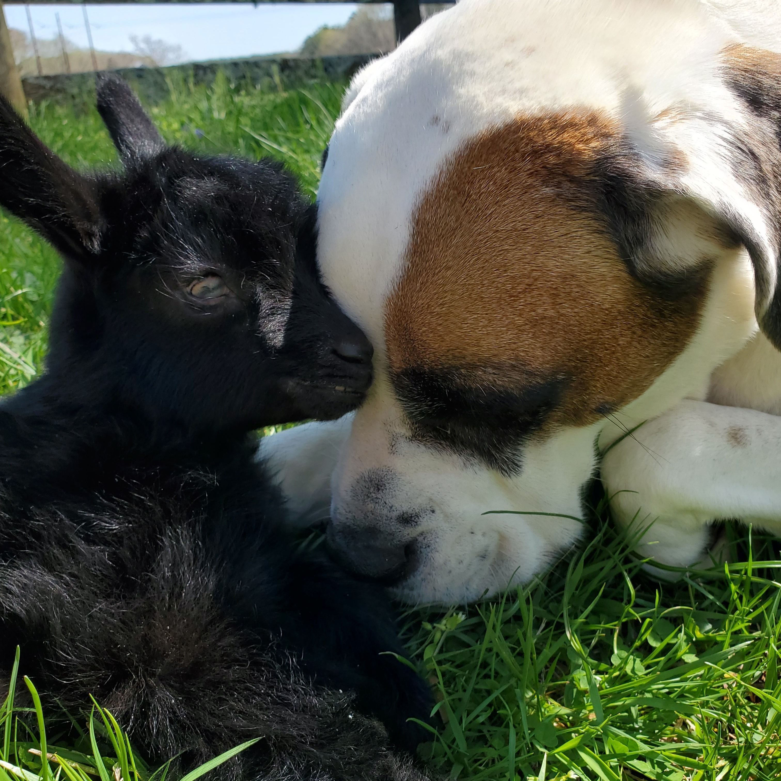 Keeping Tabs on Tiny Tidbit