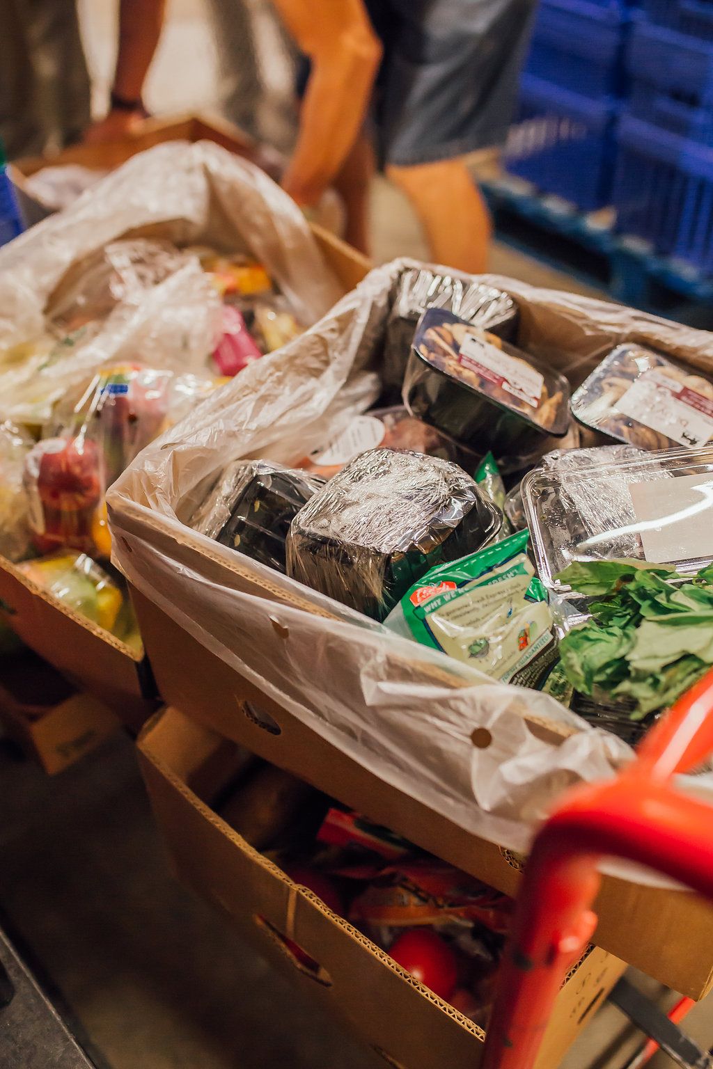 246,358 lbs of produce