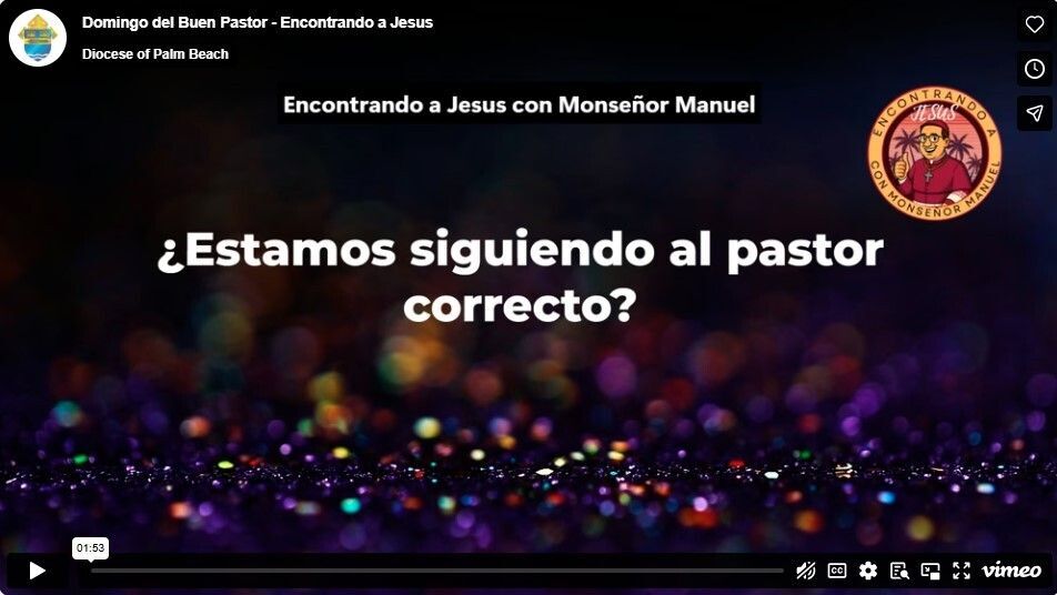 Domingo del Buen Pastor, 2026 - Encontrando a Jesus