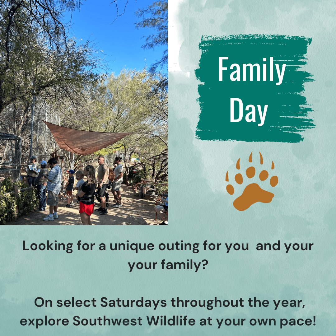 SOUTHWEST WILDLIFE FAMILY DAY