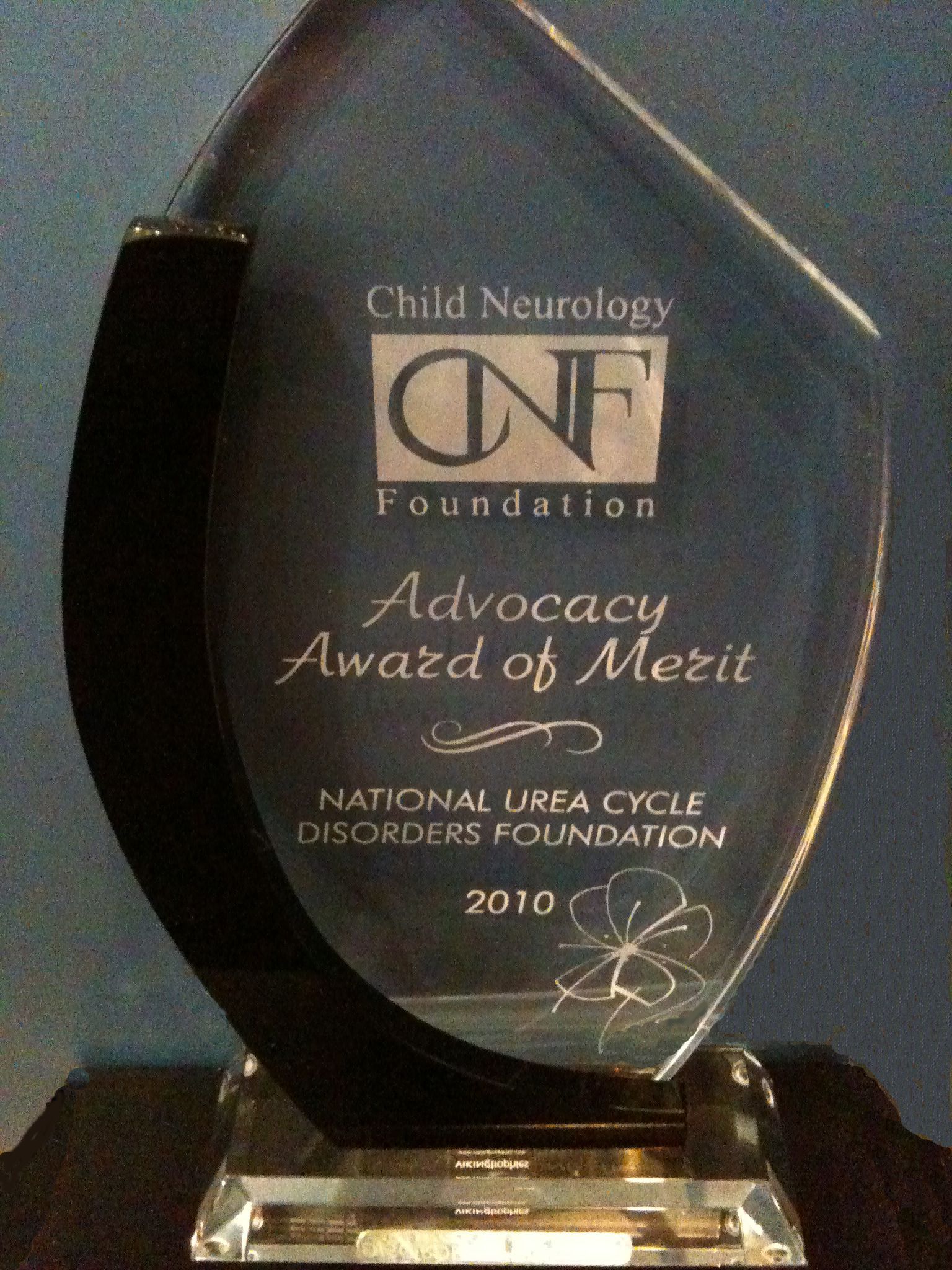 Child Neurology Foundation Advocacy Award