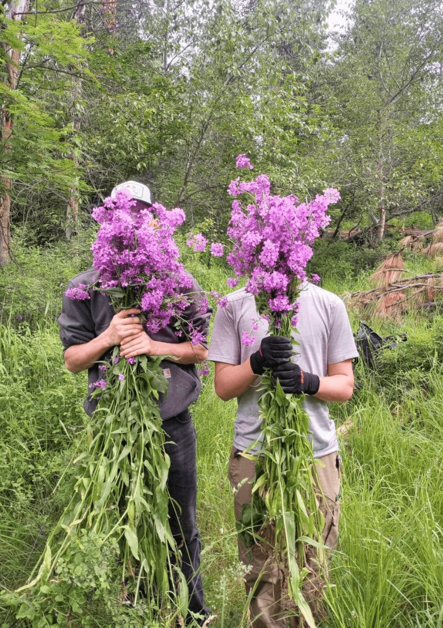 Integrated Weed Management Resources