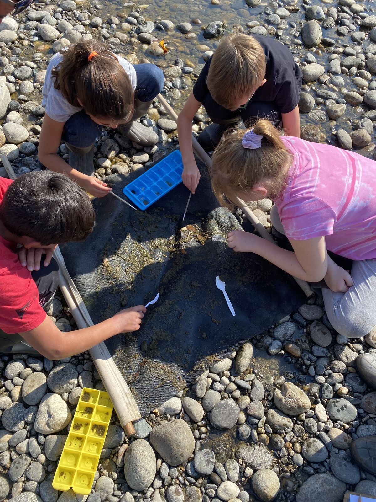 Students gathered around a net used to collect aquatic macroinvertebrates.