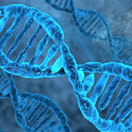 Genomics of Rare Disease