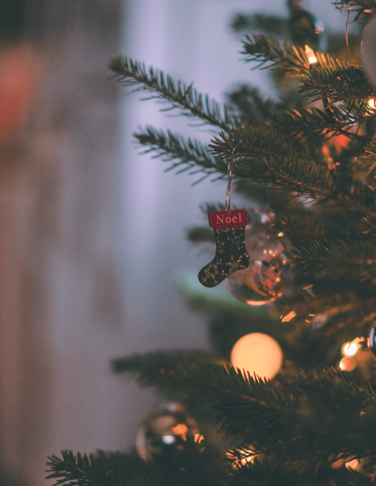 Tree of Lights: December 7, 2025