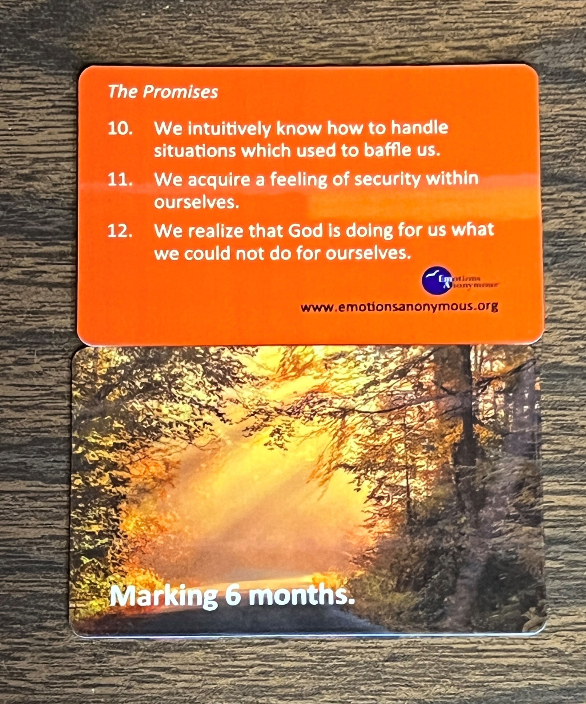 Item #M72 — "6 Months" Recovery Card