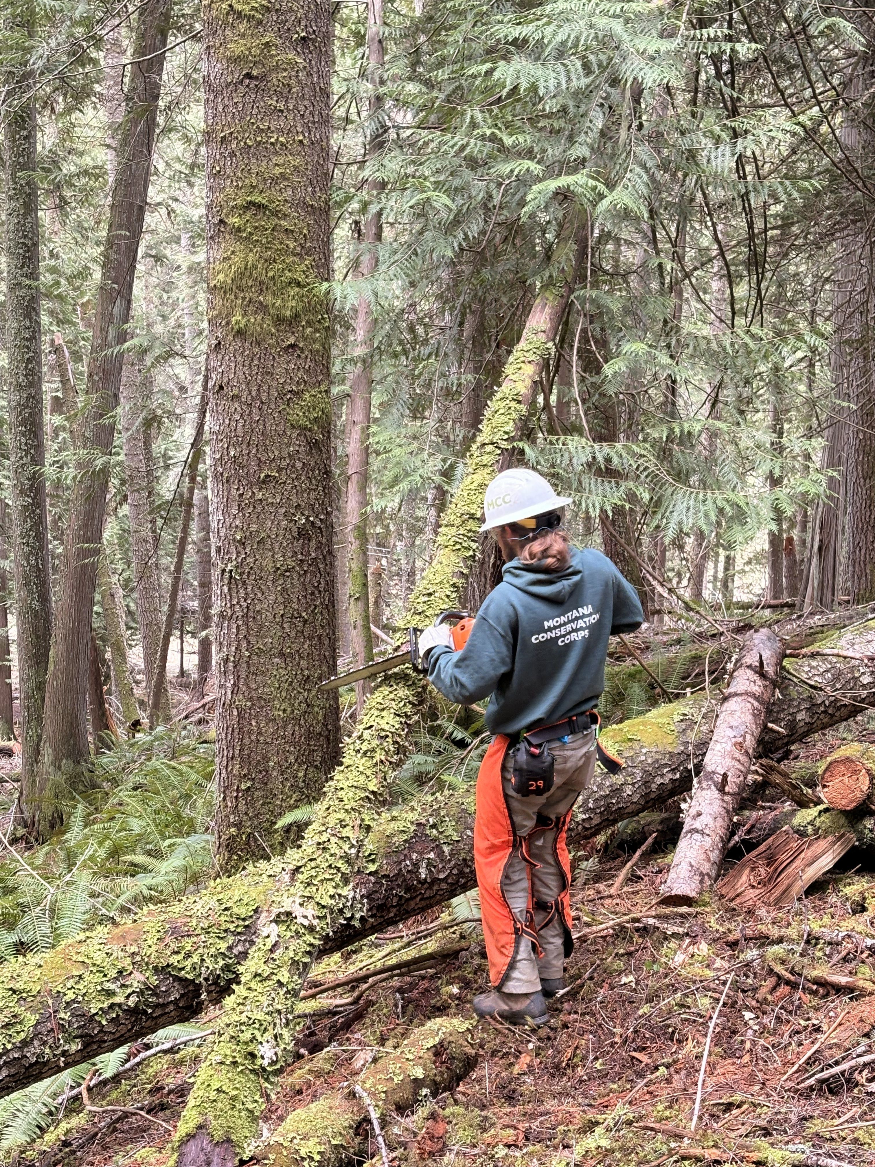 Training By The Selway