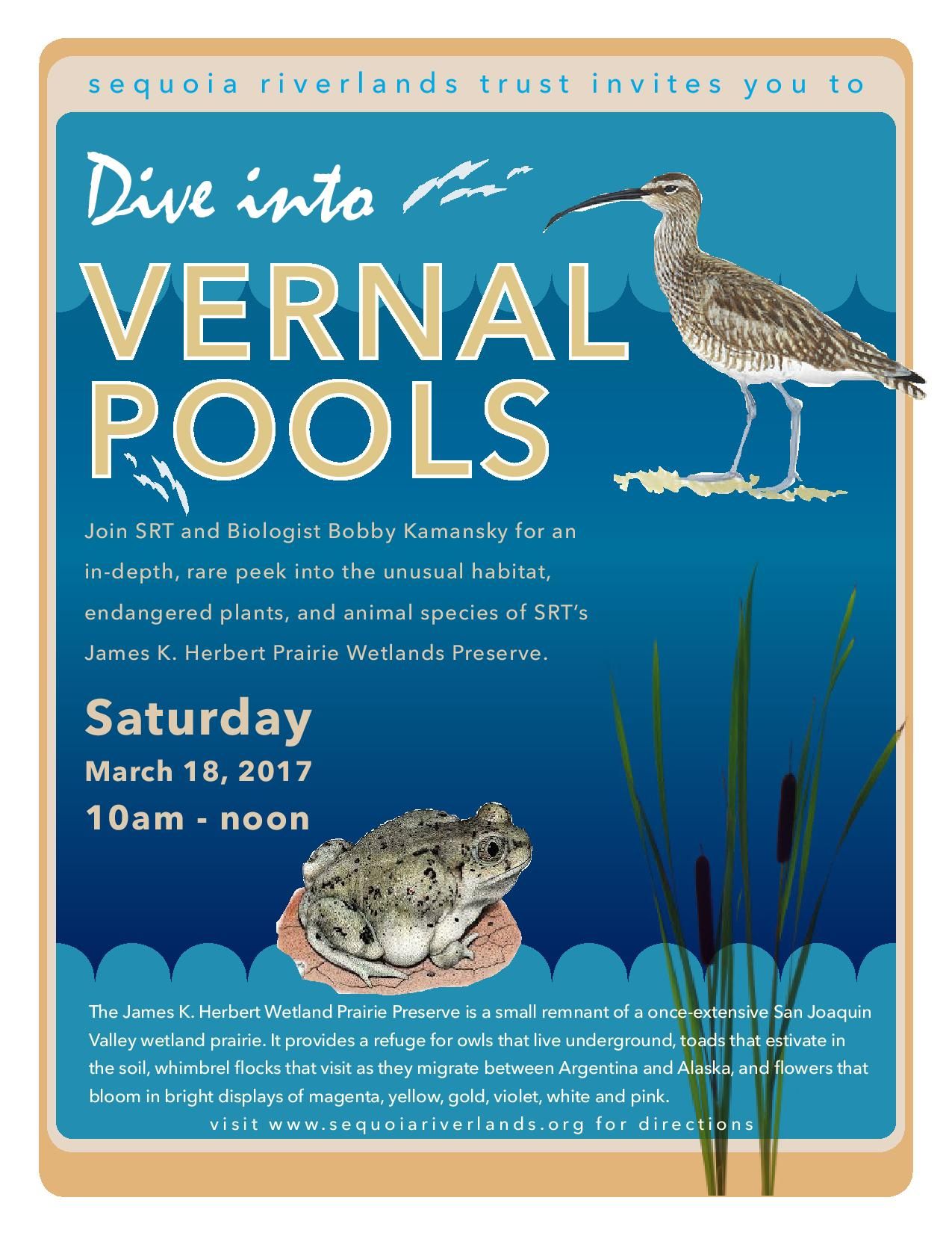 Dive into Spring at Herbert Wetland Preserve