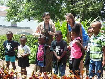 Tour with Garden Artisan Janett Taylor