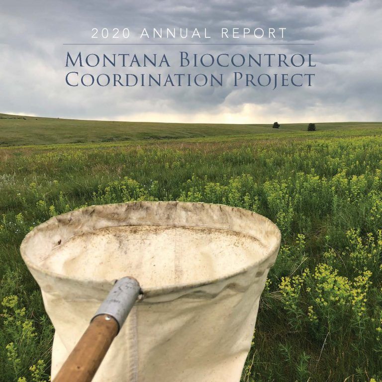 2020 Annual Report