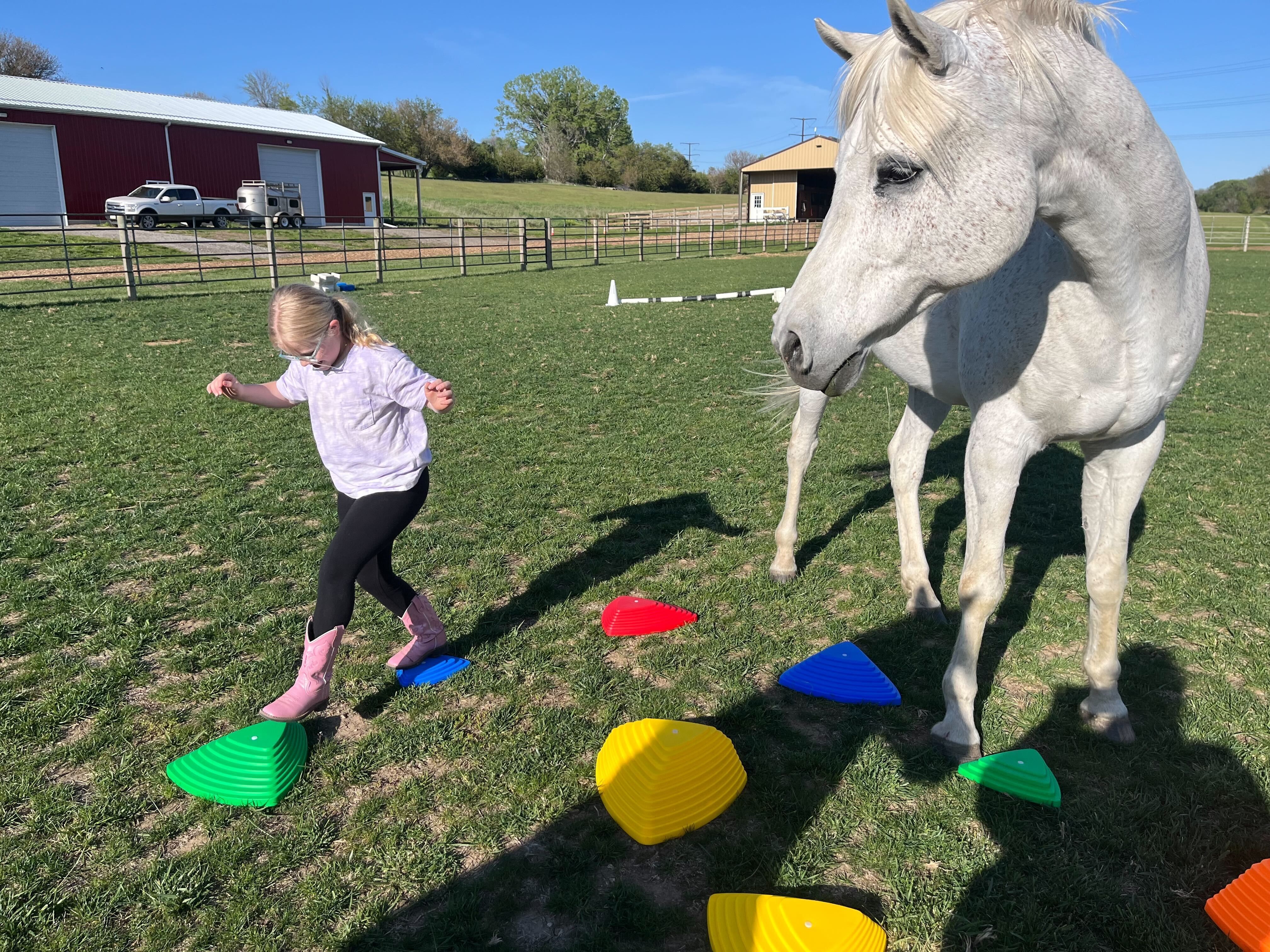 Equine-Assisted Learning