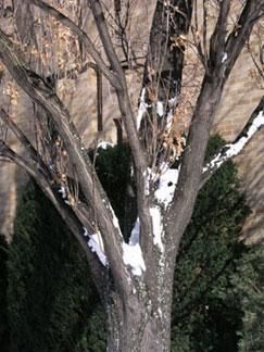 Daily Prayer February 8