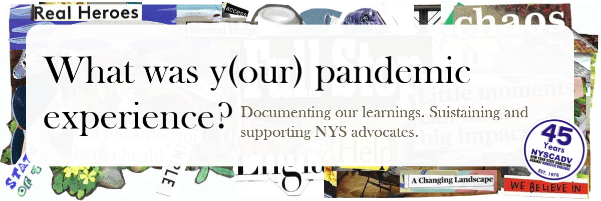 What was y(our) pandemic experience? Documenting our learnings. Sustaining and supporting NYS advocates.